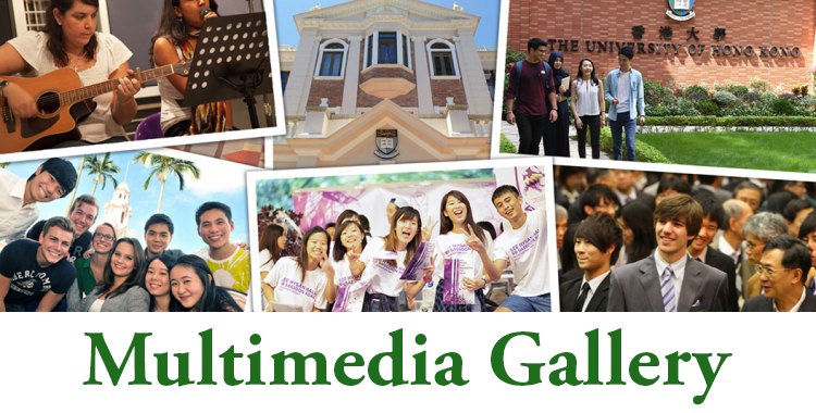 Multimedia Gallery